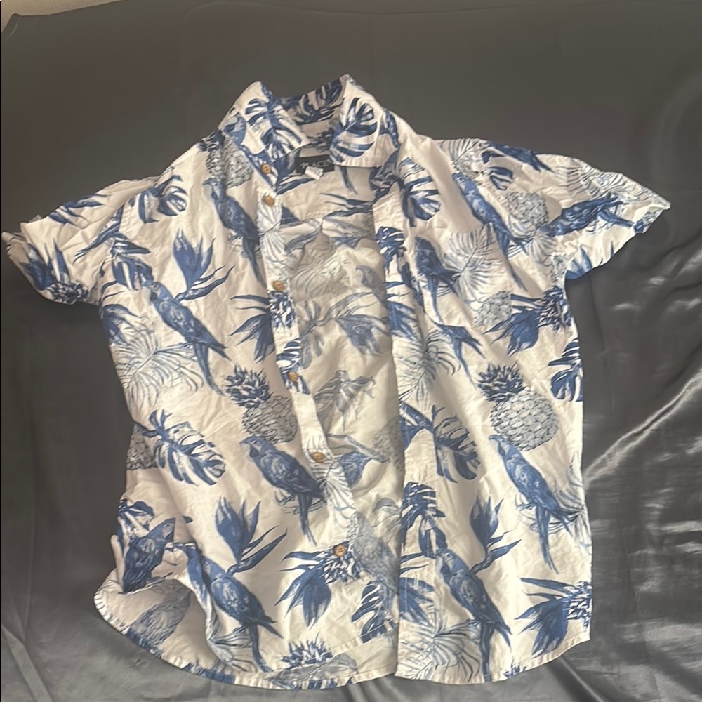 The Children's Place Blue and White Casual Button Down Shirt